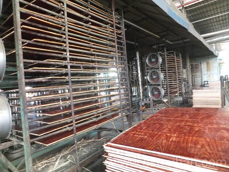 建筑工地模板多少錢(qián)一平方?都說(shuō)這家價(jià)格實(shí)惠