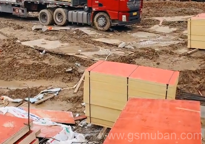 桉木模板和松木模板的區別 桉木模板多少錢一張?