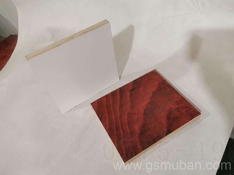 桉木模板和松木模板的區別 桉木模板多少錢一張?