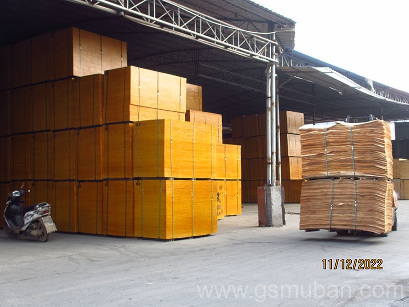 建筑模板價格種類這么多，應該怎么選?